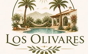 Los Olivares. San Lorenzo